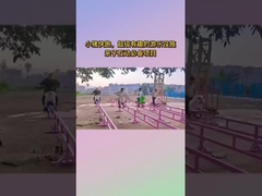 Пейзажная зона Не работающее оборудование для развлечений, Интернет знаменитость Маленькая свинья бегает парк развлечений Childr